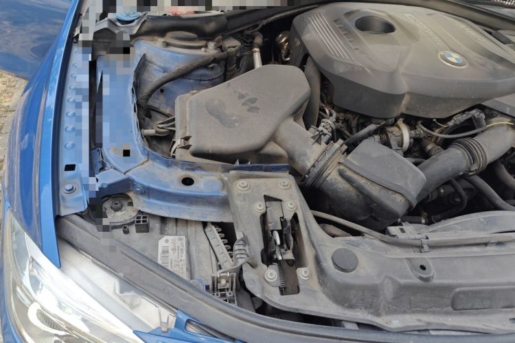 Used BMW 3 Series 2017 320Li M Sport Edition Engine Bay Right