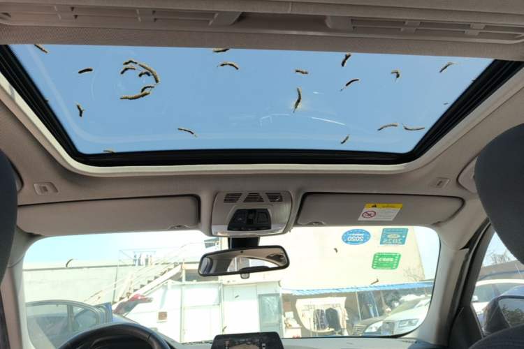 Used BMW 3 Series 2017 320Li M Sport Edition Headliner