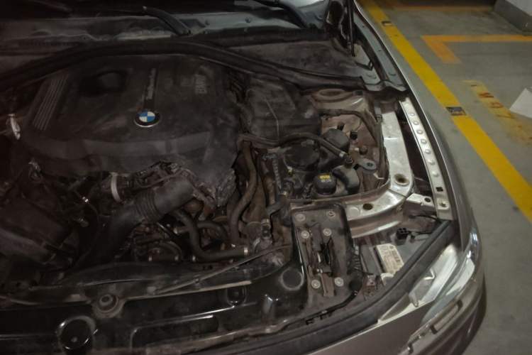 Used BMW 3 Series 2017 320Li Fashion Model Engine Bay Left