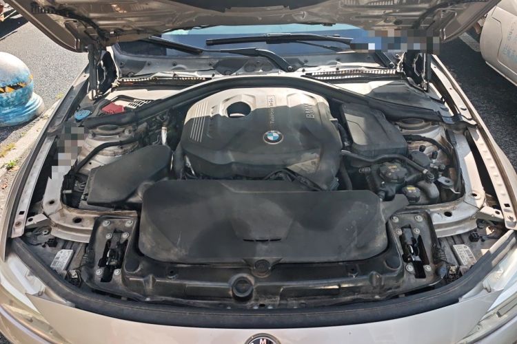 Used BMW 3 Series 2017 320Li Fashion Model Engine Bay