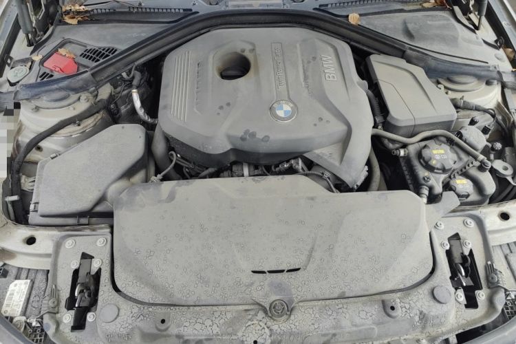 Used BMW 3 Series 2017 320Li Fashion Model Engine Bay