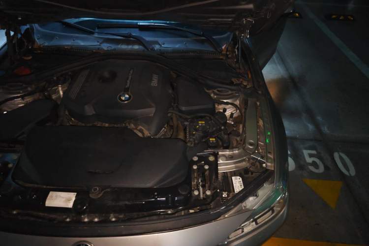 Used BMW 3 Series 2017 320Li Fashion Model Engine Bay Left