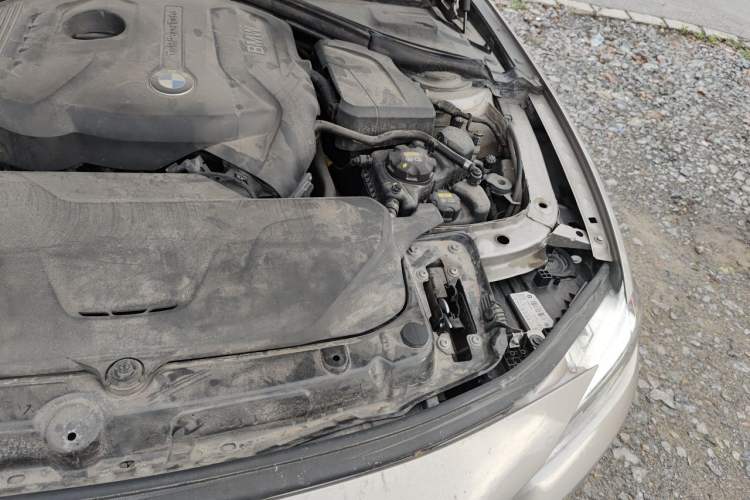 Used BMW 3 Series 2017 320Li Fashion Model Engine Bay Left