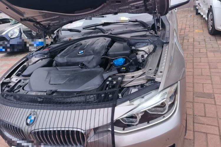 Used BMW 3 Series 2017 320Li Fashion Model Engine Bay Left