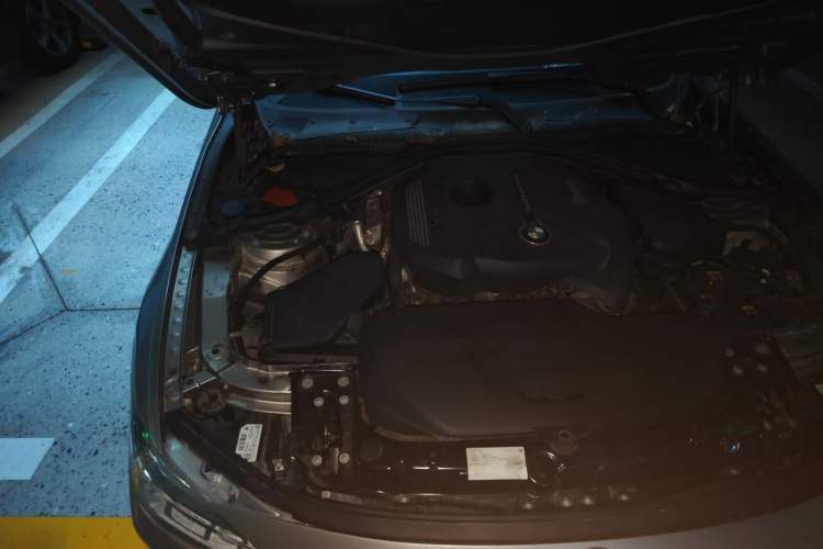 Used BMW 3 Series 2017 320Li Fashion Model Engine Bay Right