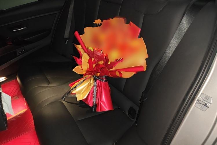Used BMW 3 Series 2017 320Li Fashion Model Left Rear Seat