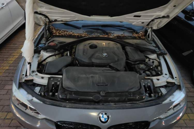 Used BMW 3 Series 2017 320Li Fashion Model Engine Bay