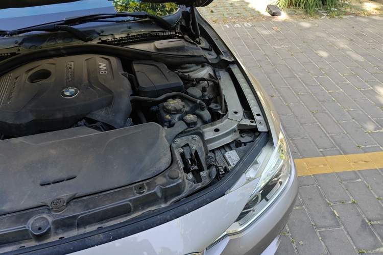 Used BMW 3 Series 2017 320Li xDrive Fashion Model Engine Bay Left