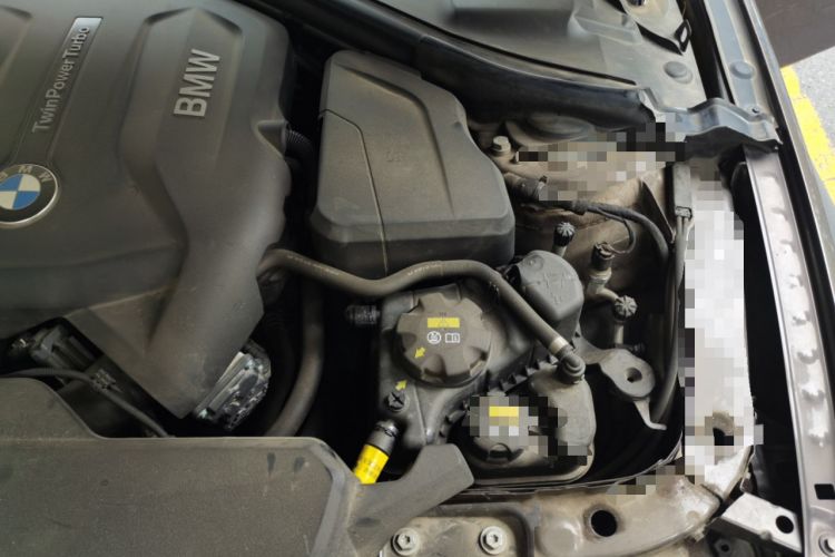 Used BMW 3 Series 2017 320Li Fashion Model Engine Bay Left