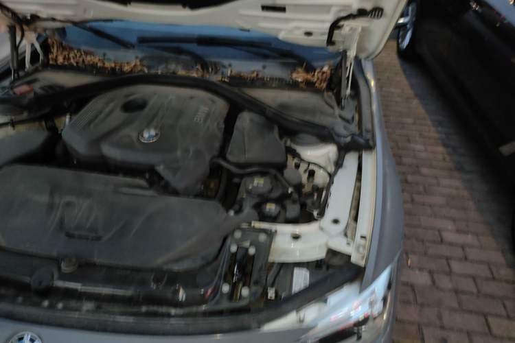 Used BMW 3 Series 2017 320Li Fashion Model Engine Bay Left