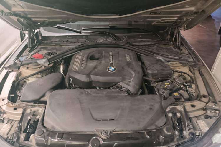 Used BMW 3 Series 2017 320Li Fashion Model Engine Bay