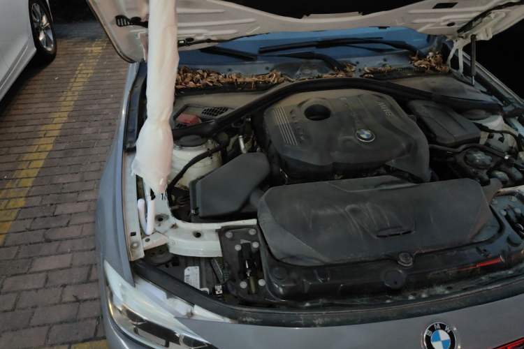 Used BMW 3 Series 2017 320Li Fashion Model Engine Bay Right