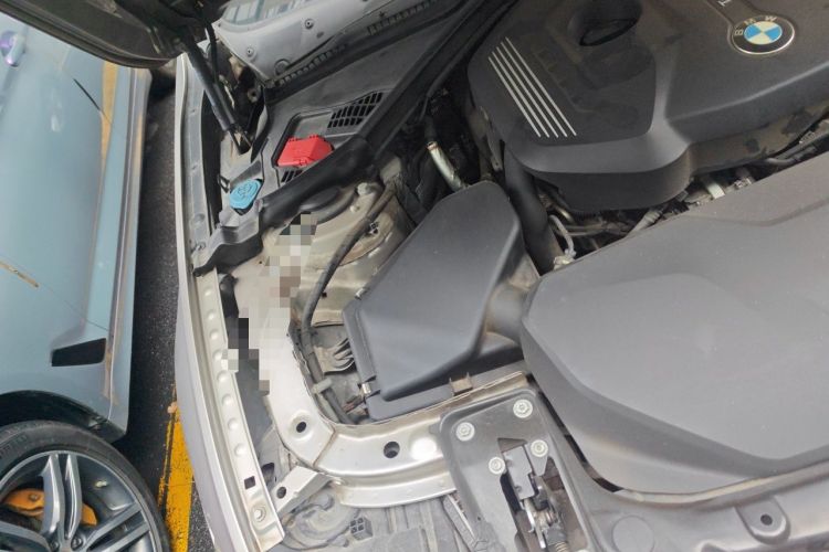 Used BMW 3 Series 2017 320Li Fashion Model Engine Bay Right