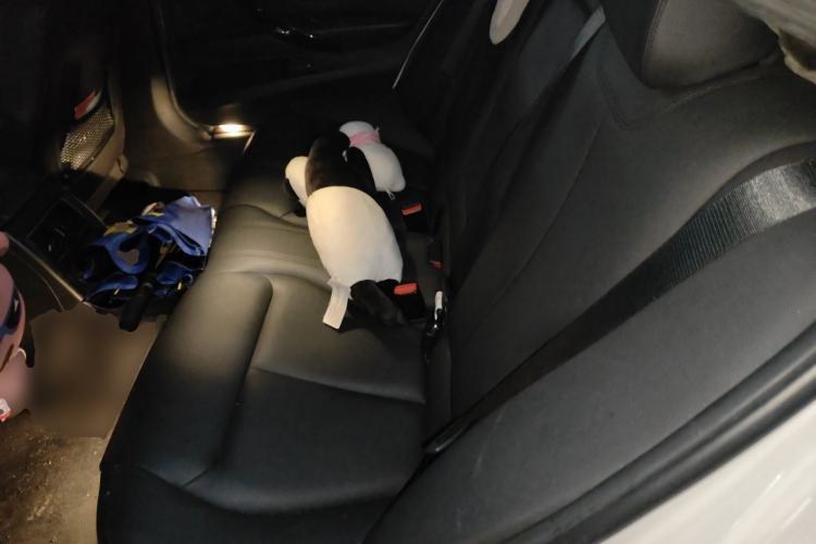 Used BMW 3 Series 2017 320Li Fashion Model Left Rear Seat