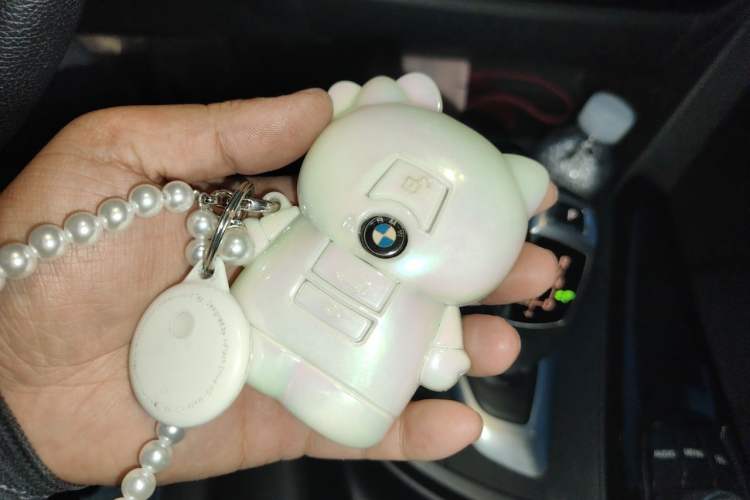Used BMW 3 Series 2017 320Li Fashion Model Vehicle Key