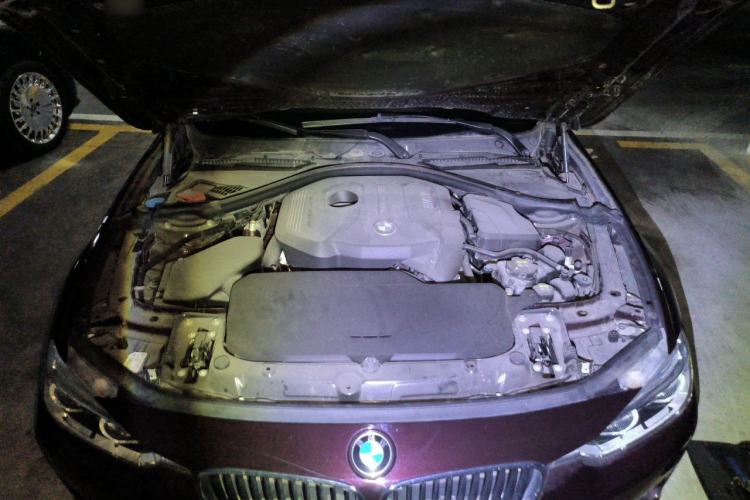 Used BMW 3 Series 2017 320Li Fashion Model Engine Bay