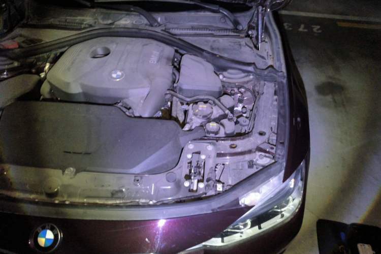 Used BMW 3 Series 2017 320Li Fashion Model Engine Bay Left