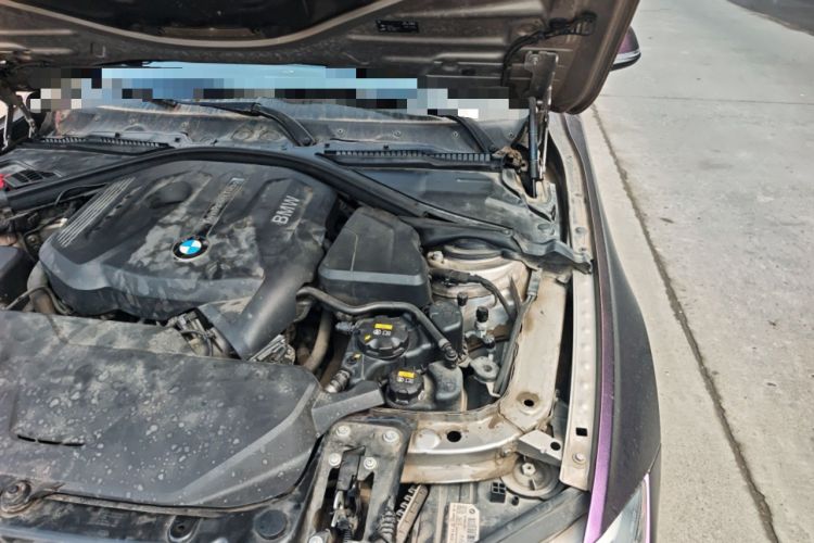 Used BMW 3 Series 2017 320Li Fashion Model Engine Bay Left
