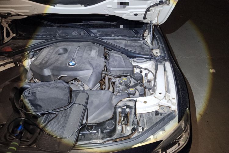 Used BMW 3 Series 2017 320Li M Sport Edition Engine Bay Left