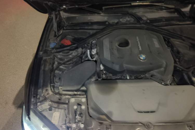 Used BMW 3 Series 2017 320Li Fashion Model Engine Bay Right