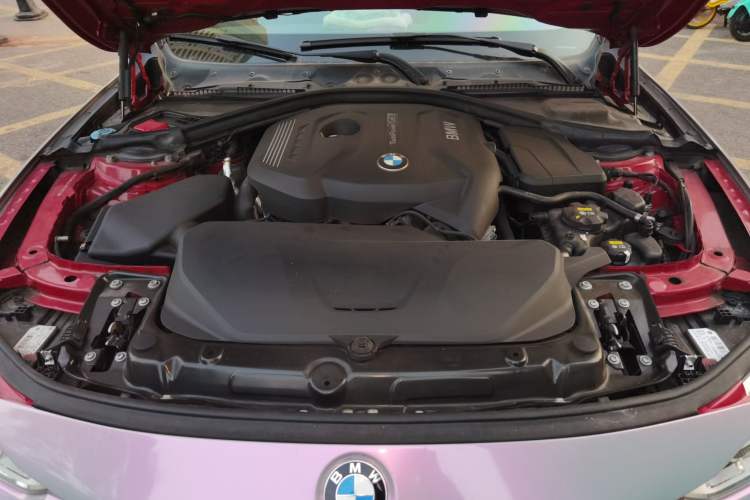 Used BMW 3 Series 2017 320Li Fashion Model Engine Bay