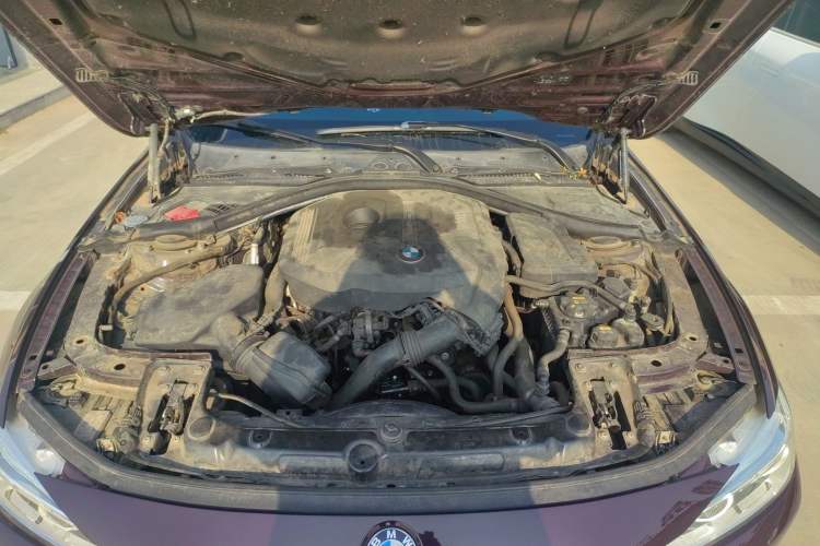 Used BMW 3 Series 2017 320Li Fashion Model Engine Bay