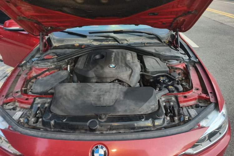 Used BMW 3 Series 2017 320Li M Sport Edition Engine Bay