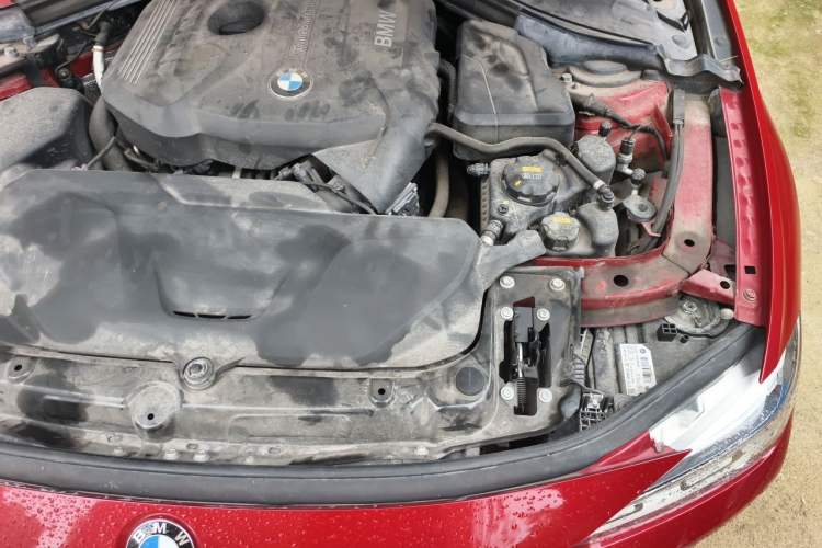 Used BMW 3 Series 2017 320Li Fashion Model Engine Bay Left