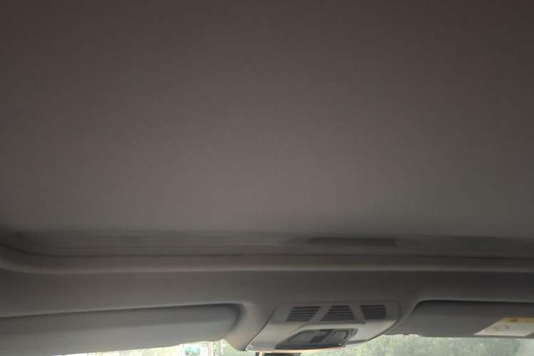 Used BMW 3 Series 2017 320Li Fashion Model Headliner