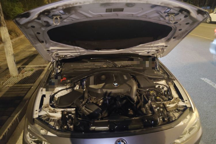Used BMW 3 Series 2017 320Li Fashion Model Engine Bay