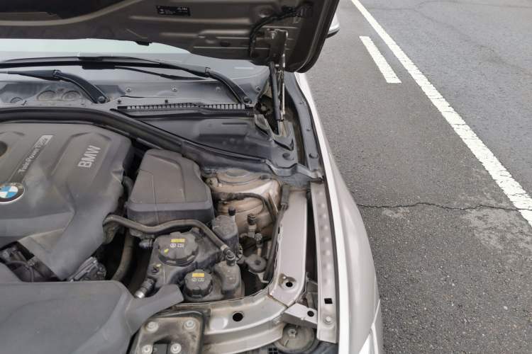 Used BMW 3 Series 2017 320Li Fashion Model Engine Bay Left