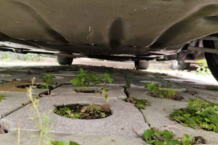 Used BMW 3 Series 2017 320Li Fashion Model Chassis Front