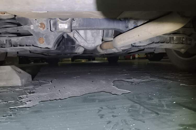 Used BMW 3 Series 2017 320Li Fashion Model Chassis Rear