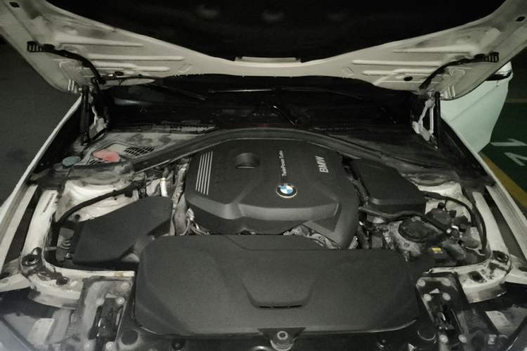 Used BMW 3 Series 2017 320Li Fashion Model Engine Bay