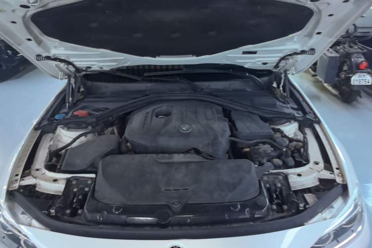 Used BMW 3 Series 2017 320Li Fashion Model Engine Bay