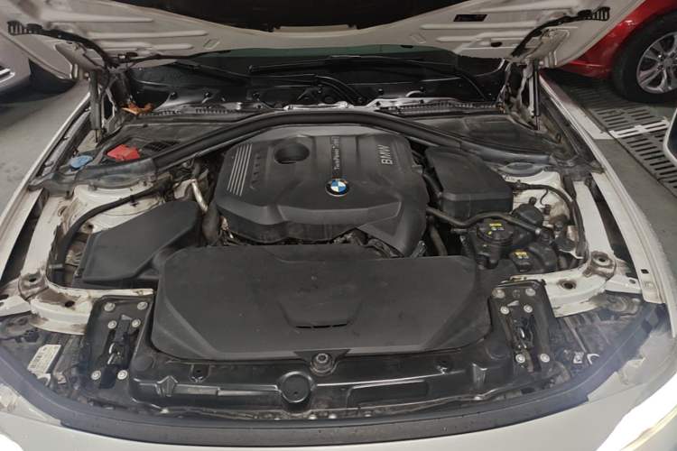 Used BMW 3 Series 2017 320Li Fashion Model Engine Bay