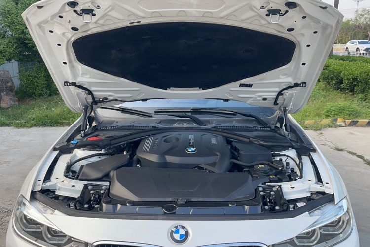 Used BMW 3 Series 2017 320Li Fashion Model Engine Bay