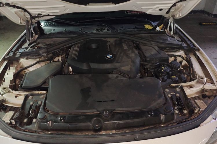 Used BMW 3 Series 2017 320Li Fashion Model Engine Bay