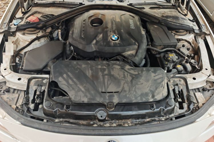 Used BMW 3 Series 2017 320Li Fashion Model Engine Bay