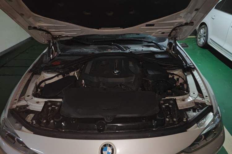 Used BMW 3 Series 2017 320Li xDrive Fashion Model Engine Bay