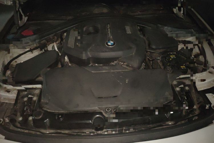Used BMW 3 Series 2017 320Li Fashion Model Engine Bay
