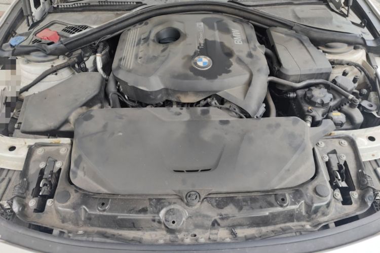 Used BMW 3 Series 2017 320Li Fashion Model Engine Bay