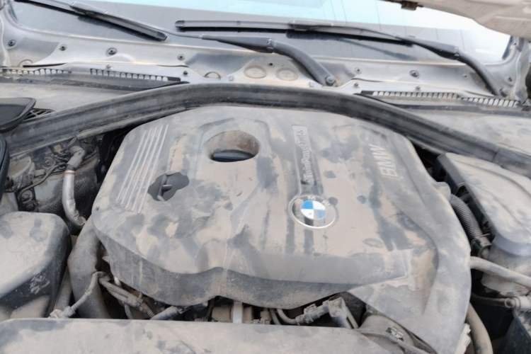 Used BMW 3 Series 2017 320Li Fashion Model Engine Bay