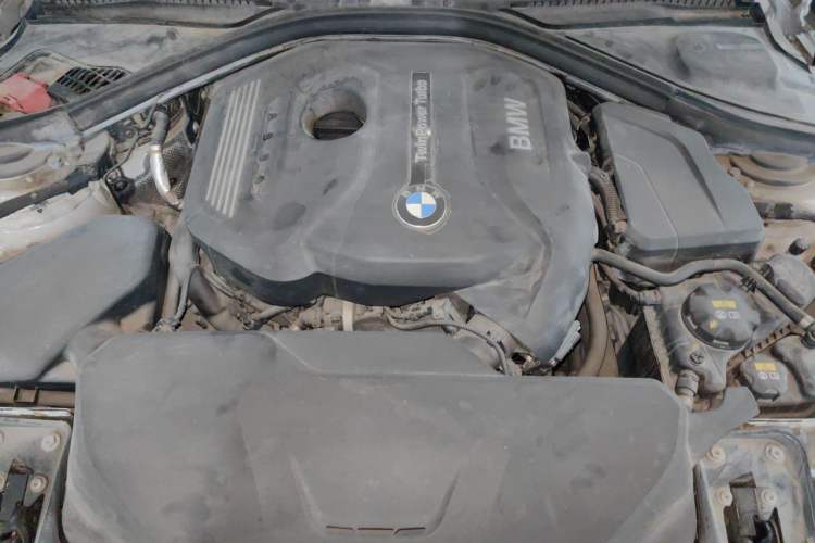 Used BMW 3 Series 2017 320Li Fashion Model Engine Bay
