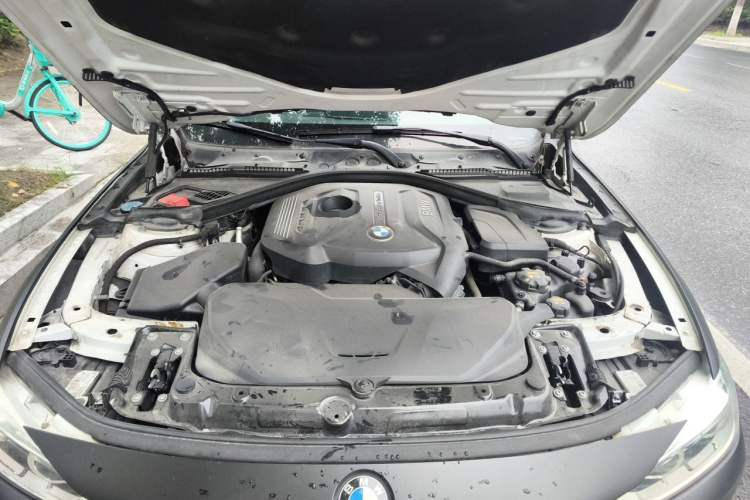 Used BMW 3 Series 2017 320Li Fashion Model Engine Bay