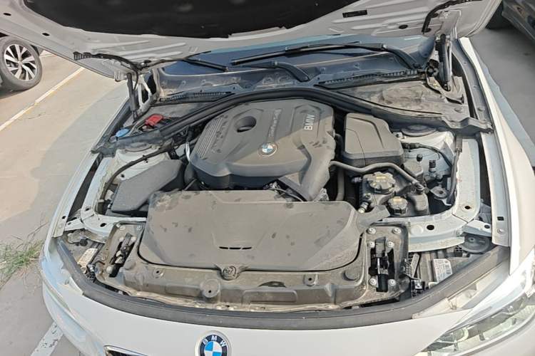 Used BMW 3 Series 2017 320Li Fashion Model Engine Bay