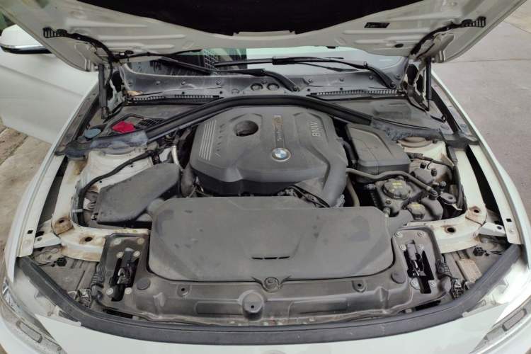 Used BMW 3 Series 2017 320Li M Sport Edition Engine Bay