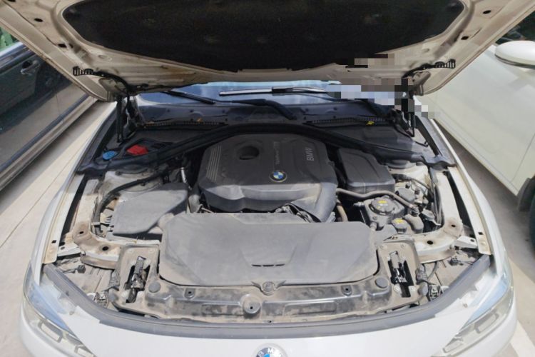 Used BMW 3 Series 2017 320Li Fashion Model Engine Bay
