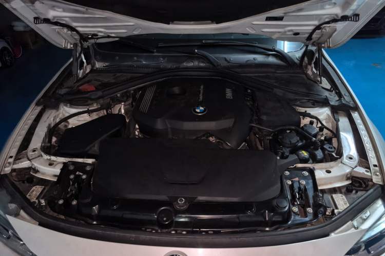 Used BMW 3 Series 2017 320Li Fashion Model Engine Bay