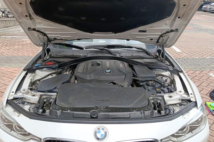 Used BMW 3 Series 2017 320Li Fashion Model Engine Bay